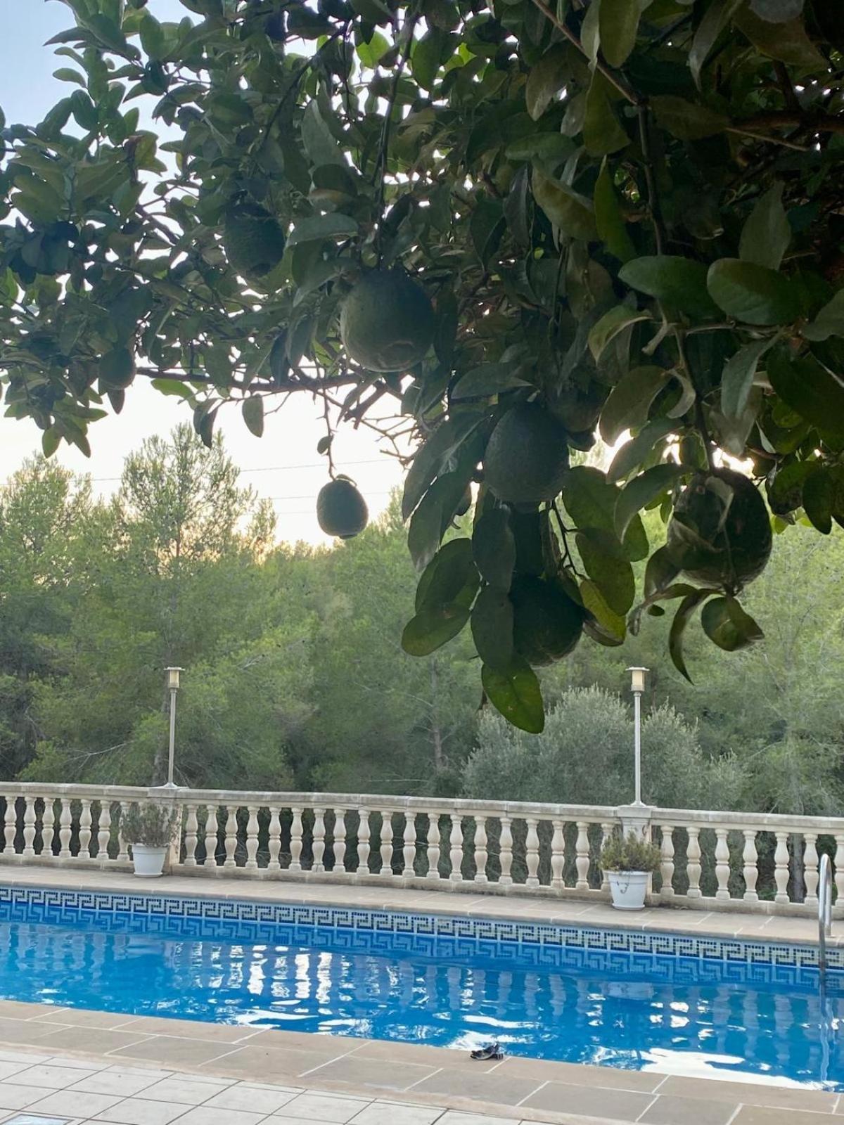 הוילה טראגונה La Casa Dels Boscos מראה חיצוני תמונה